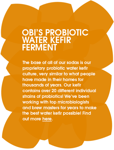 Obi’s Probiotic Water Kefir Ferment - The base of all of our sodas is our propriety probiotic water kefir culture, very similar to what people have made in their homes for thousands of years. Our kefir contains over 20 different individual species of probiotics! We’ve been working with top microbiologists and brew masters for years to make the best water kefir possible and it’s paid off!