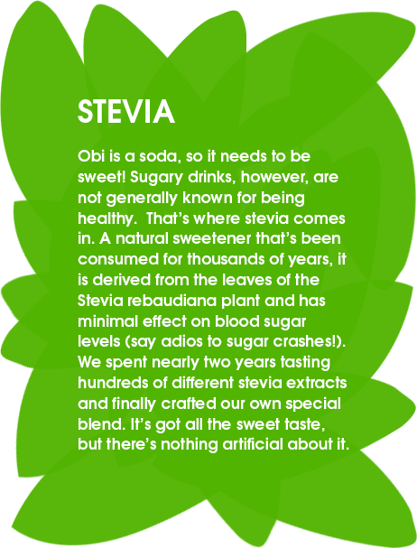 Stevia - Obi is a soda, so it needs to be sweet! Sugary drinks however, are not generally known for being healthy. That’s where stevia comes in. Clinical studies conducted at Harvard found stevia to be beneficial for people with metabolic disease as it doesn’t spike insulin levels. It’s been consumed as a sweetener for thousands of years all over the world. So how to get the best tasting stevia? We spent nearly 2 years tasting hundreds of different stevia extracts and finally crafted our own special blend. It’s got all the sweet taste, but none of the artificial ingredients.