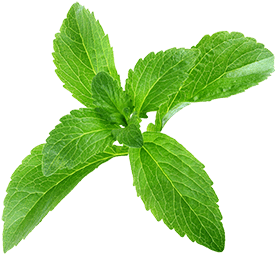 Stevia